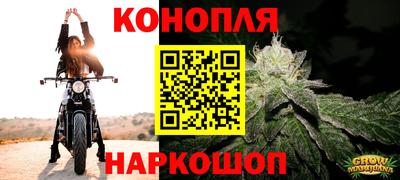прущая мука Шахты