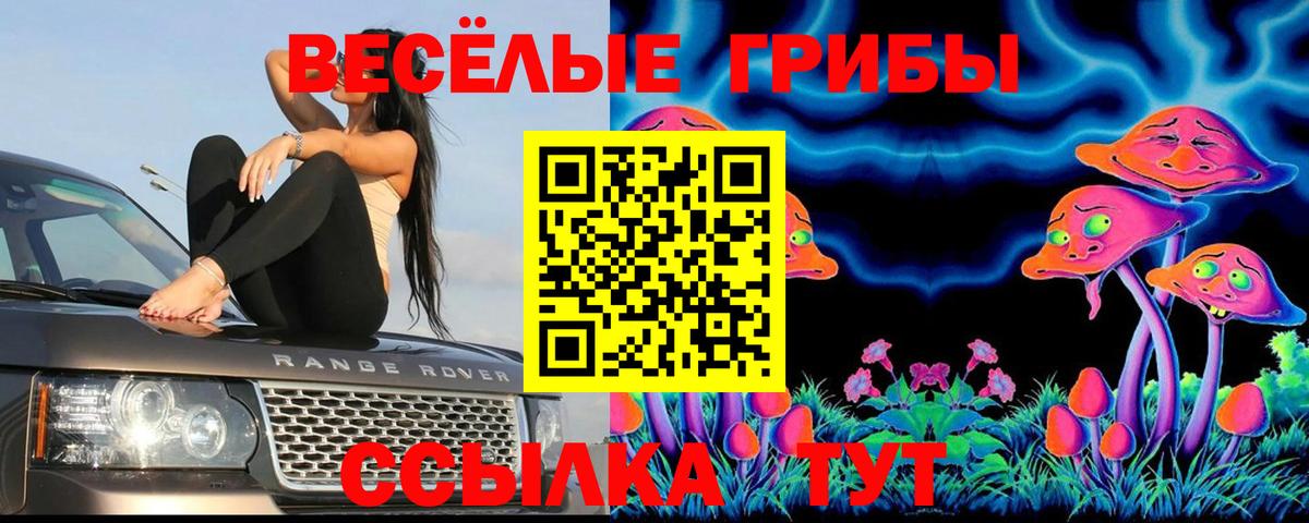Донецк  Псилоцибиновые грибы MAGIC MUSHROOMS  Вход с VPN  Галлюциногенные грибы ЛСД 